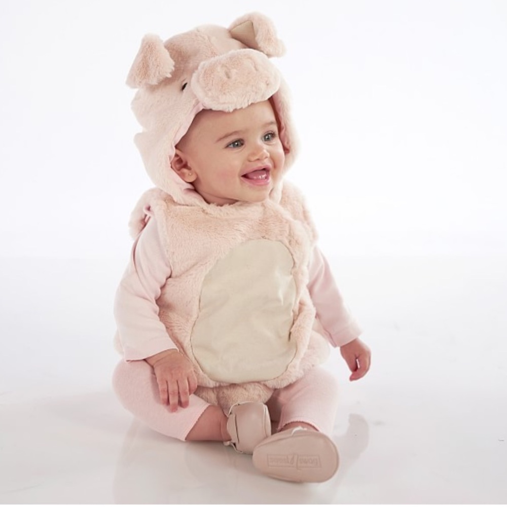 Pottery barn pig costume